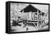 California Gold Rush, 19th Century-null-Framed Stretched Canvas