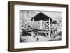 California Gold Rush, 19th Century-null-Framed Photographic Print