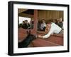 California Governor Candidate Ronald Reagan Petting Donkey, While on the Campaign Trail-Bill Ray-Framed Photographic Print