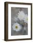 California. Gravel-Ghost Detail in Death Valley National Park-Judith Zimmerman-Framed Photographic Print