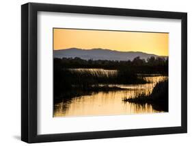 California, Gray Lodge Waterfowl Management Area, at Butte Sink-Alison Jones-Framed Photographic Print