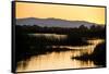 California, Gray Lodge Waterfowl Management Area, at Butte Sink-Alison Jones-Framed Stretched Canvas