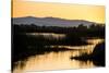 California, Gray Lodge Waterfowl Management Area, at Butte Sink-Alison Jones-Stretched Canvas