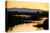 California, Gray Lodge Waterfowl Management Area, at Butte Sink-Alison Jones-Stretched Canvas