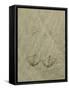 California Gull (Larus californicus) take-off footprints in sand, Copalis Beach-Chris & Tilde Stuart-Framed Stretched Canvas