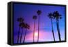 California High Palm Trees Purple Sunset Sky Silhouette Background USA-holbox-Framed Stretched Canvas