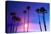 California High Palm Trees Purple Sunset Sky Silhouette Background USA-holbox-Stretched Canvas