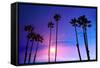 California High Palm Trees Purple Sunset Sky Silhouette Background USA-holbox-Framed Stretched Canvas