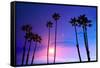 California High Palm Trees Purple Sunset Sky Silhouette Background USA-holbox-Framed Stretched Canvas