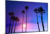 California High Palm Trees Purple Sunset Sky Silhouette Background USA-holbox-Mounted Photographic Print