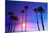 California High Palm Trees Purple Sunset Sky Silhouette Background USA-holbox-Mounted Photographic Print