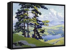 California Hills-Frank Reed Whiteside-Framed Stretched Canvas