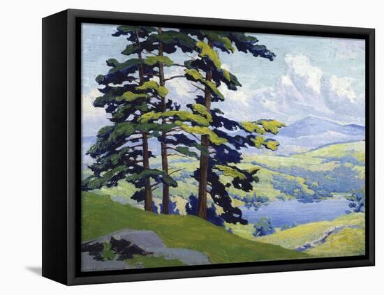 California Hills-Frank Reed Whiteside-Framed Stretched Canvas