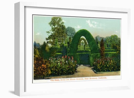 California - Hotel Del Monte View of the Maze Near Monterey-Lantern Press-Framed Art Print