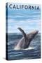 California - Humpback Whale-Lantern Press-Stretched Canvas