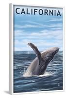 California - Humpback Whale-Lantern Press-Framed Art Print