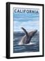 California - Humpback Whale-Lantern Press-Framed Art Print