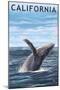 California - Humpback Whale-Lantern Press-Mounted Art Print