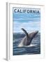 California - Humpback Whale-Lantern Press-Framed Art Print