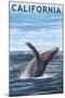 California - Humpback Whale-Lantern Press-Mounted Art Print