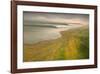 California II: Fertile Ground-Michael Mote-Framed Art Print