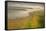 California II: Fertile Ground-Michael Mote-Framed Stretched Canvas