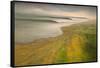 California II: Fertile Ground-Michael Mote-Framed Stretched Canvas