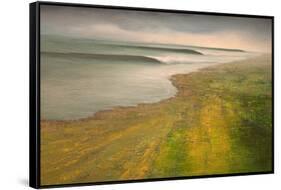 California II: Fertile Ground-Michael Mote-Framed Stretched Canvas