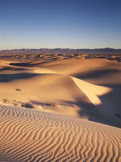 California Imperial Sand Dunes Glamis Sand Dunes Photographic Print Christopher Talbot Frank Allposters Com California Imperial Sand Dunes Glamis Sand Dunes Photographic Print Christopher Talbot Frank Allposters Com