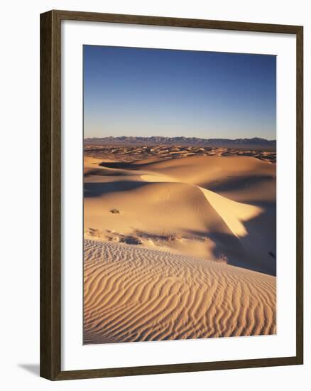 California, Imperial Sand Dunes, Glamis Sand Dunes-Christopher Talbot Frank-Framed Photographic Print
