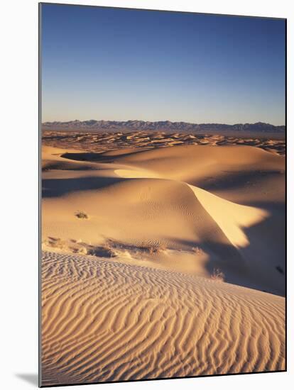 California, Imperial Sand Dunes, Glamis Sand Dunes-Christopher Talbot Frank-Mounted Photographic Print