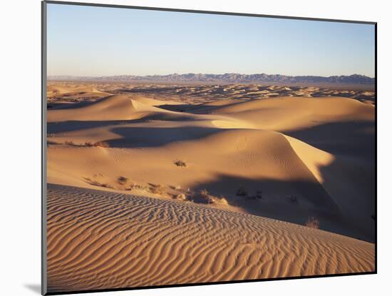 California, Imperial Sand Dunes, Patterns of Glamis Sand Dunes-Christopher Talbot Frank-Mounted Premium Photographic Print