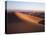 California, Imperial Sand Dunes, Tracks across Glamis Sand Dunes-Christopher Talbot Frank-Stretched Canvas