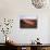 California, Imperial Sand Dunes, Tracks across Glamis Sand Dunes-Christopher Talbot Frank-Photographic Print displayed on a wall