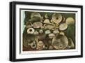Black Frame