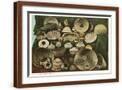 Brown Frame