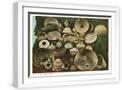 White Frame