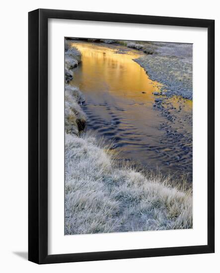 California, Inyo National Forest-John Barger-Framed Photographic Print