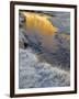 California, Inyo National Forest-John Barger-Framed Photographic Print