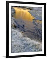 California, Inyo National Forest-John Barger-Framed Photographic Print