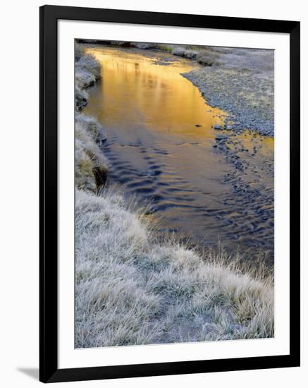 California, Inyo National Forest-John Barger-Framed Photographic Print