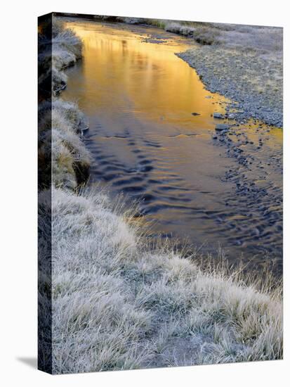 California, Inyo National Forest-John Barger-Stretched Canvas