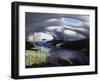 California, Inyo Nf, Twenty Lakes Basin, Stream Through an Ice Cave-Christopher Talbot Frank-Framed Premium Photographic Print