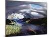 California, Inyo Nf, Twenty Lakes Basin, Stream Through an Ice Cave-Christopher Talbot Frank-Mounted Photographic Print