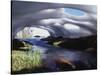 California, Inyo Nf, Twenty Lakes Basin, Stream Through an Ice Cave-Christopher Talbot Frank-Stretched Canvas