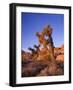 California, Joshua Tree, Moon and Monzonite Granite Boulders, Early Morning Near Jumbo Rocks-John Barger-Framed Photographic Print