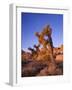 California, Joshua Tree, Moon and Monzonite Granite Boulders, Early Morning Near Jumbo Rocks-John Barger-Framed Photographic Print