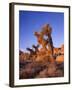 California, Joshua Tree, Moon and Monzonite Granite Boulders, Early Morning Near Jumbo Rocks-John Barger-Framed Photographic Print