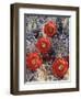 California, Joshua Tree National Park, Claret Cup Cactus Wildflowers-Christopher Talbot Frank-Framed Premium Photographic Print