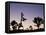 California, Joshua Tree National Park, Joshua Tree, Yucca Brevifolia, in Hidden Valley, Dawn, USA-Walter Bibikow-Framed Stretched Canvas